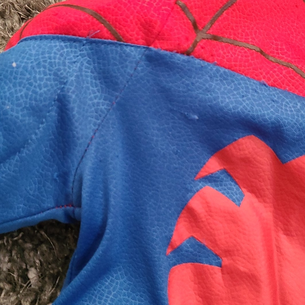 Spider Man - Picture 3 of 6